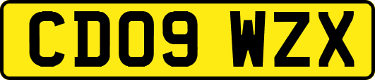 CD09WZX