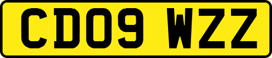 CD09WZZ