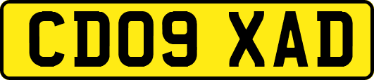 CD09XAD