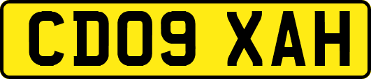 CD09XAH