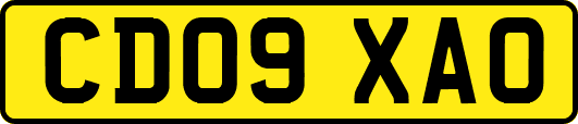 CD09XAO