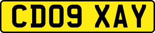 CD09XAY