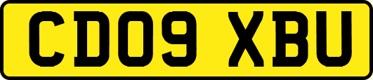 CD09XBU