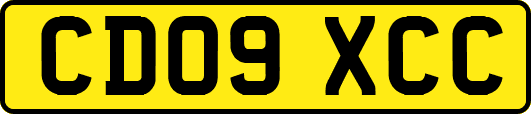 CD09XCC