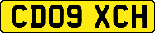 CD09XCH