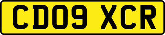 CD09XCR