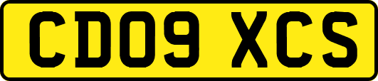 CD09XCS
