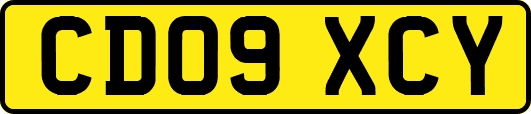 CD09XCY