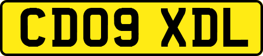 CD09XDL
