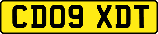 CD09XDT