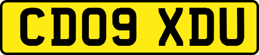 CD09XDU