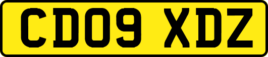 CD09XDZ