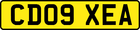 CD09XEA