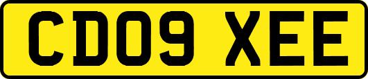 CD09XEE
