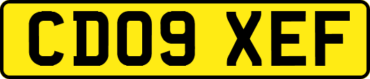 CD09XEF
