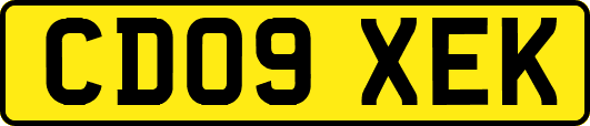 CD09XEK