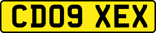 CD09XEX
