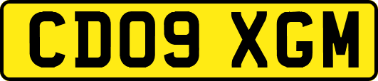 CD09XGM