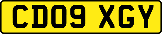 CD09XGY