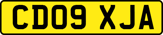 CD09XJA