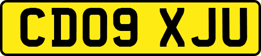 CD09XJU