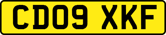 CD09XKF