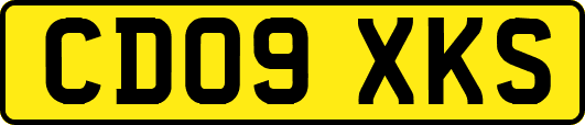 CD09XKS