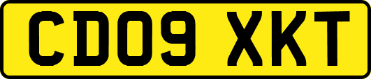 CD09XKT