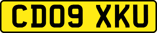CD09XKU