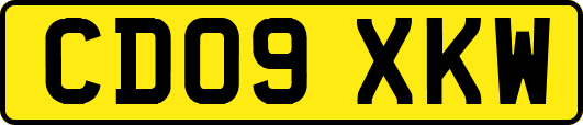 CD09XKW