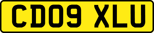CD09XLU