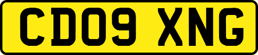 CD09XNG