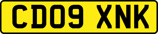 CD09XNK