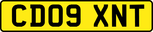 CD09XNT