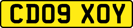 CD09XOY