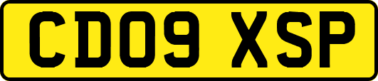 CD09XSP