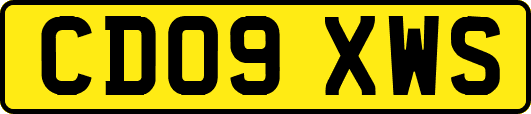 CD09XWS