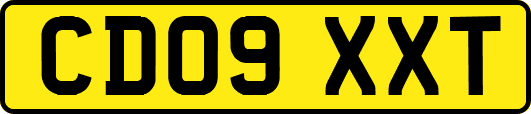 CD09XXT