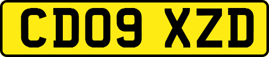 CD09XZD