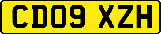 CD09XZH