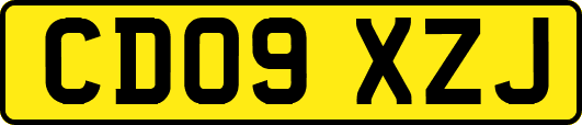 CD09XZJ