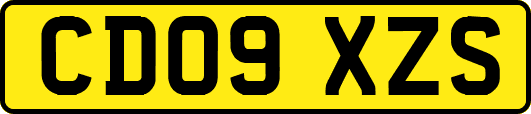 CD09XZS