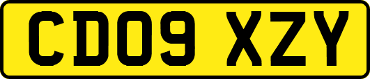 CD09XZY