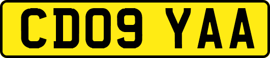 CD09YAA
