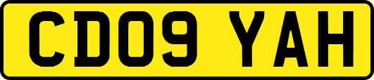 CD09YAH