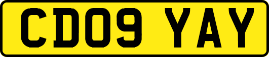 CD09YAY