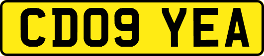 CD09YEA