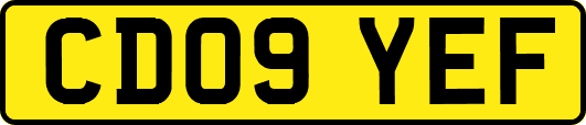 CD09YEF