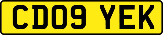 CD09YEK