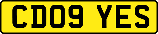 CD09YES